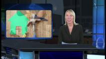 Spring into Home Improvement